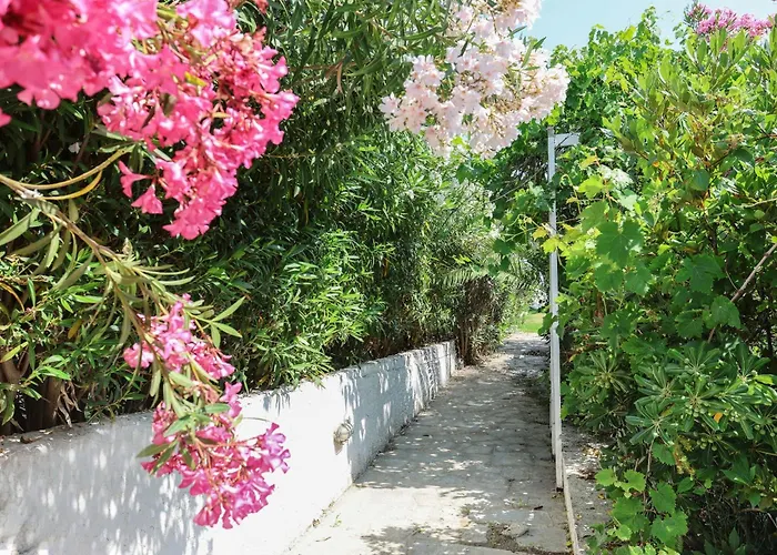 House Soko - 30m To Beach, Near Mako And Elephant Bar * Pefkochori